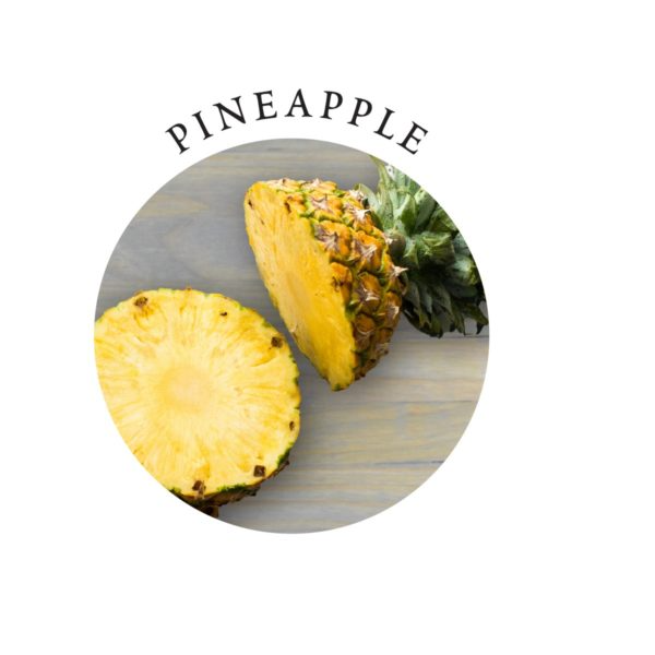 Tasty Travel Gift Set (2 Oz, Pineapple Scent)